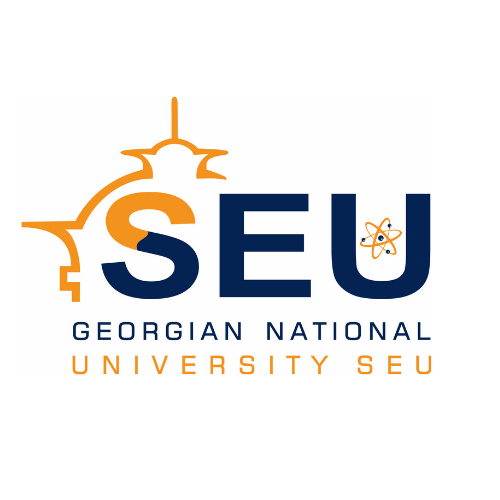georgian national university